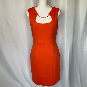 Women’s Body con Dress